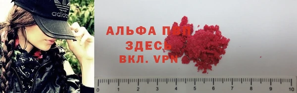 амф Бронницы
