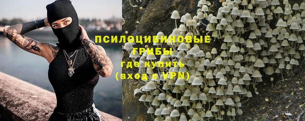 таблы Бородино