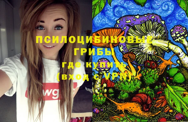 амф Бронницы